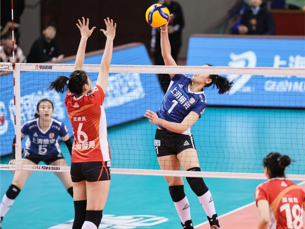 的训练中 的训练中