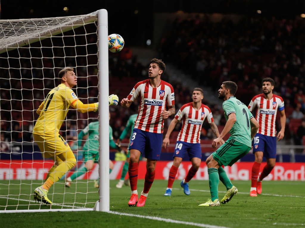 梅尔顿的伤 梅尔顿的伤